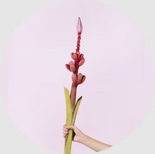 Calculadora do Ciclo Menstrual: Previsão Científica e Guia de Gerenciamento do Ciclo